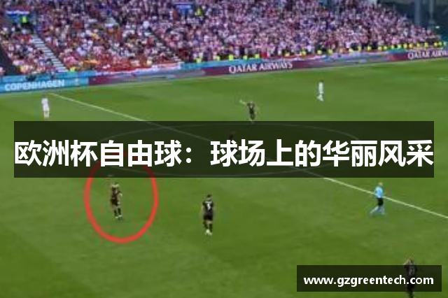 欧洲杯自由球：球场上的华丽风采
