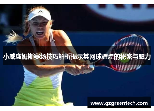 小威廉姆斯赛场技巧解析揭示其网球辉煌的秘密与魅力