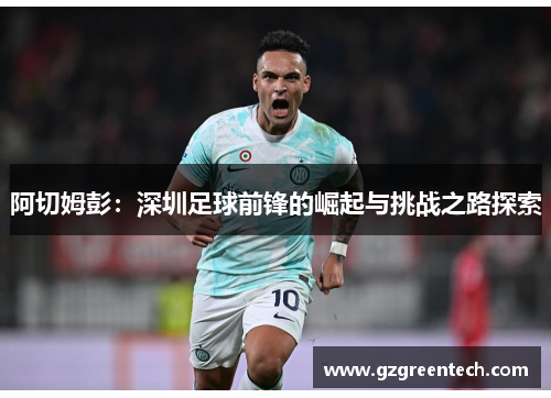 阿切姆彭:深圳足球前锋的崛起与挑战之路探索 阿切姆彭:深圳足球前锋的崛起与挑战之路探索
