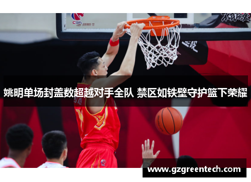 姚明单场封盖数超越对手全队 禁区如铁壁守护篮下荣耀