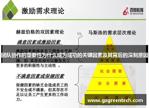 团队协作的重要性为什么成为成功的关键因素及其背后的深刻原因