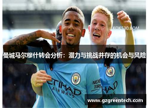 曼城马尔穆什转会分析：潜力与挑战并存的机会与风险