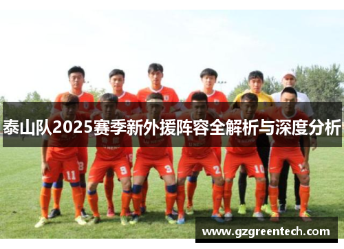 泰山队2025赛季新外援阵容全解析与深度分析 泰山队2025赛季新外援阵容全解析与深度分析