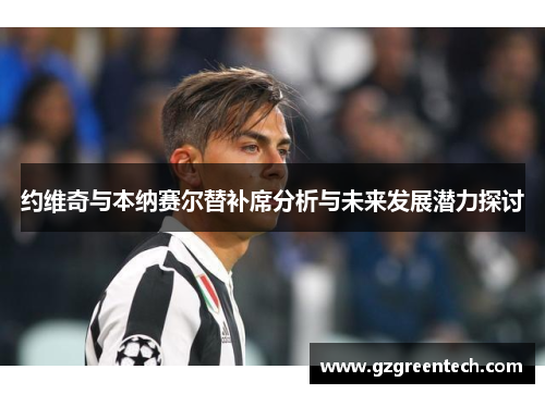 约维奇与本纳赛尔替补席分析与未来发展潜力探讨