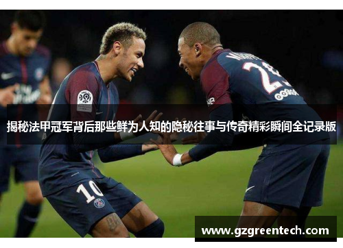 揭秘法甲冠军背后那些鲜为人知的隐秘往事与传奇精彩瞬间全记录版