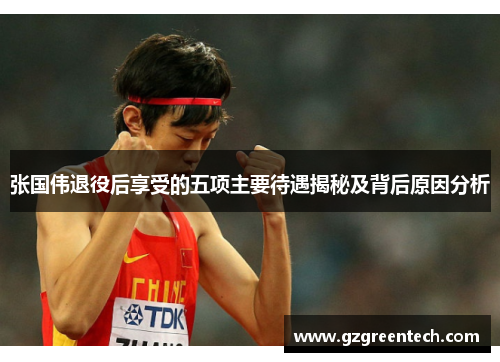 张国伟退役后享受的五项主要待遇揭秘及背后原因分析