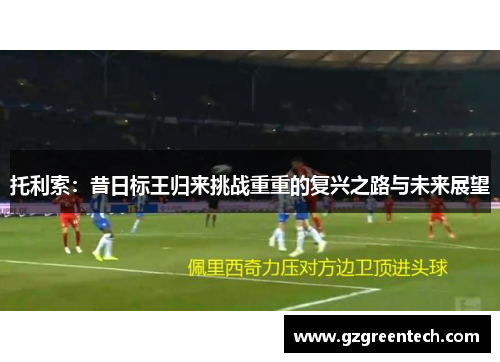 托利索：昔日标王归来挑战重重的复兴之路与未来展望
